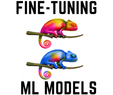 fine-tuning_ml_models